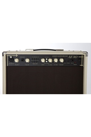 Cort Amfi Af30 30w