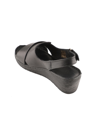 Dexter Dx390171-1 Kadın Sandalet Çok Renkli