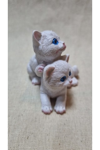 Polyester Kedi 2'li Biblo 001