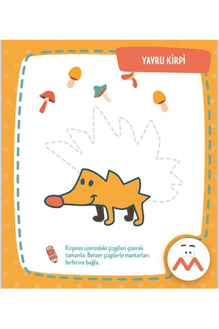 Eğitici Çizgiler Etkinlik Kitabı