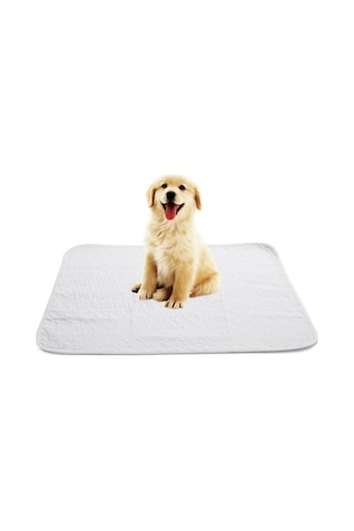 Caretex Yıkanabilir Kedi Köpek Çiş Pedi Beyaz 75 x 85 CM