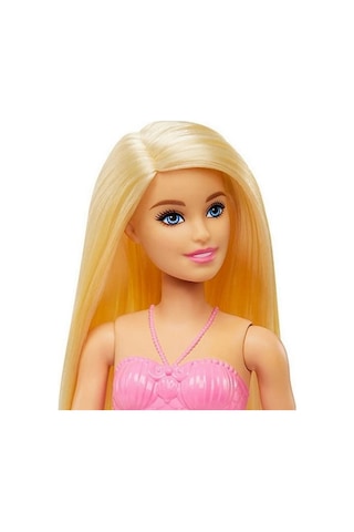 Mattel Barbie Dreamtopia Yeni Denizkızı Bebekler Hgr04 Hgr05 Barbie