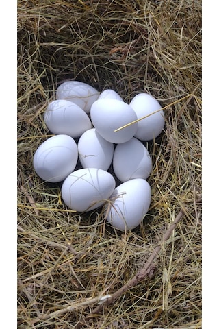 Alex Gips Yumurta Altlıkları 221489329