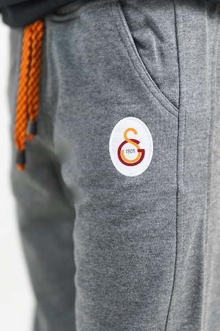 Galatasaray Gri Çocuk Eşofman Altı Gri