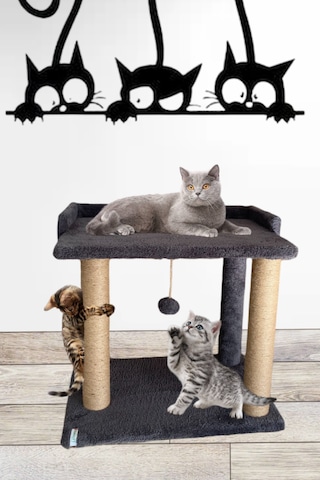 Nursoft Ponponlu Kedi Yatağı Kedi Tırmalama 47 CM