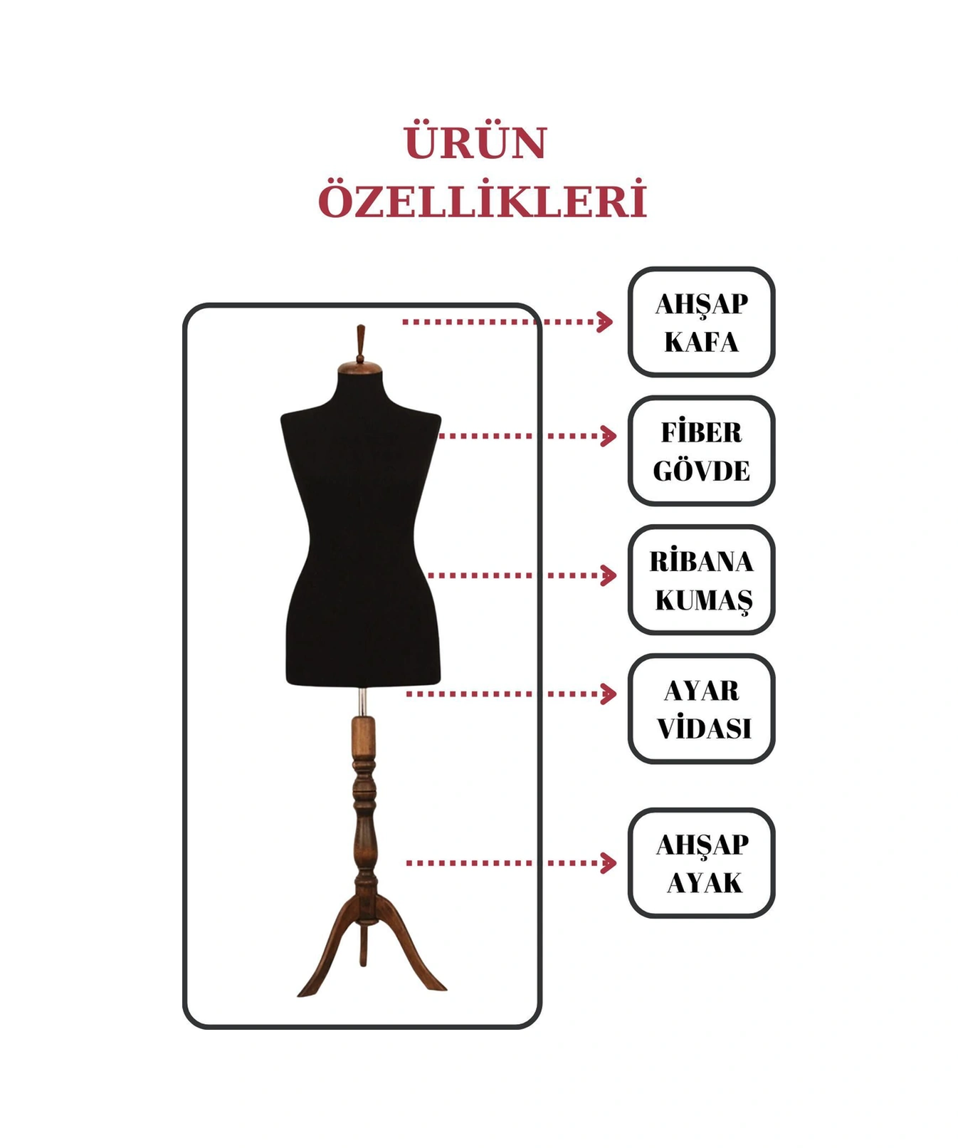 Vitrin Amaçlı 36 Beden Terzi Mankeni Vitrin Mankeni Cansız Manken İğne Batmaz 2190