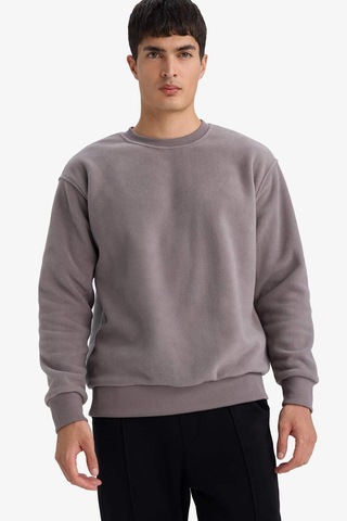 Defacto Relax Fit Bisiklet Yaka Polar Sweatshirt F3685ax25wngr308 Gri-gr308