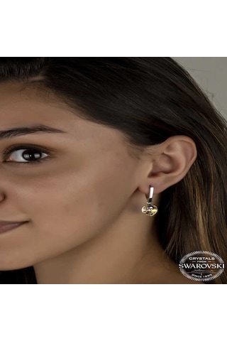 Swarovski Crystal Taşlı Gümüş Beyaz Kalp Sallantılı Kadın Küpe Diğer