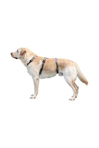 Kerbl Köpek Sırt Tasması Kaçış Önleyici 38 x 52 CM Gri