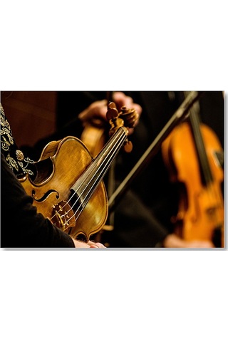 Cakasepetim Keman Kültür Aletleri 2016 Müzik Ahşap Mdf Tablo