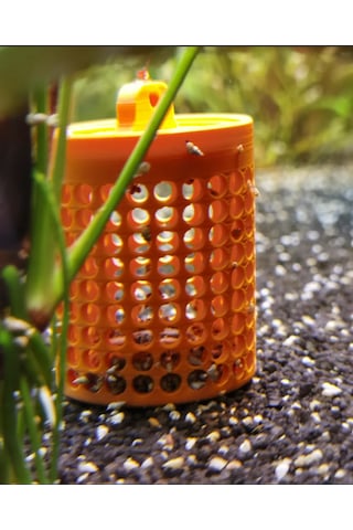 Pureysma Akvaryum Salyangoz Kapanı Küçük Salyangozlar İçin Yemlik