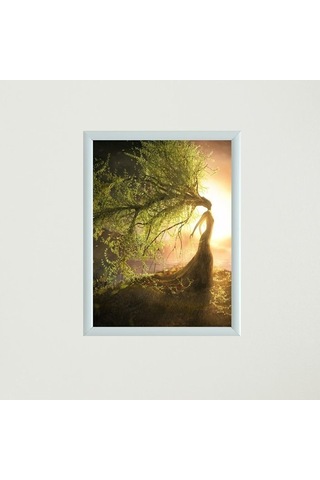 Çerçeveli Poster Tablo T1331