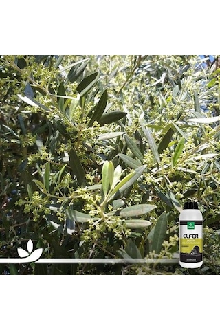 Elfer Zeytin | Zeytine Özel Mikro Bitki Besin Karişimi 1 Litre