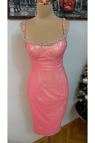 Chica Rosa Fashion Swarowski Taş, İnci Ve Boncuk İşlemeli Pembe Elbise Pearl