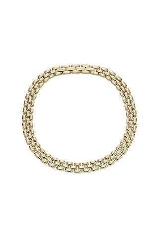 Fossıl Jf04783-710 Gold