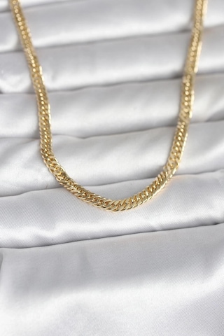 Ceylan Adam Cm 14k Gold Renk Zincir Model 45 Cm Kadın Kolye Çok Renkli