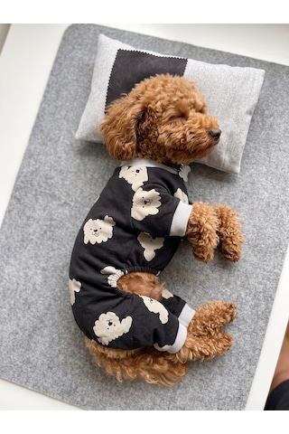 Doggy Köpek Uyku Takımı Pamuklu Penye Köpek Tulumu Ve Mini Yastık Küçük Irklar İçin Tüy Dökülmesini Azaltır