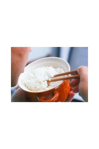 Lexroo Chopsticks 10 Çift Çin Yemeği Çubuğu Çok Renkli