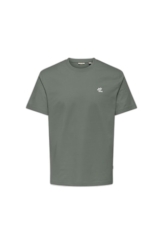 Only & Sons Onsmaxım Ctn Reg Ss Tee Erkek Green T-shirt - 22036952 Yeşil