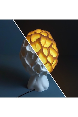 Esculenta Mantar Masa Ve Gece Lambası