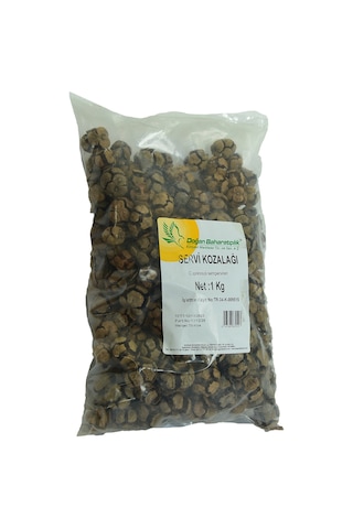 Doğan Selvi Kozalağı Doğal 1000 G Paket