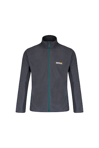 Regatta Ashton Erkek Polar Siyah