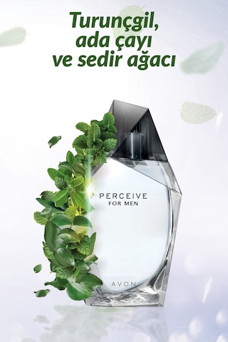 Avon Perceive Erkek Parfüm ve Full Speed Erkek Parfüm İkili Paket