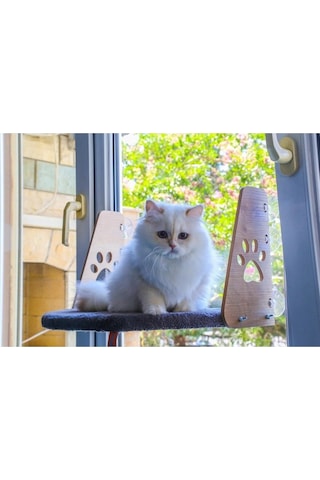 Cam Yatağı Vantuzlu Kedi Cam Yatağı Vantuzlu Yatak Gri