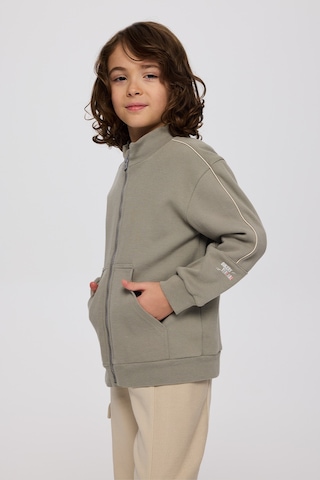 Panço Erkek Çocuk Fermuarlı Antrasit Sweatshirt Gri