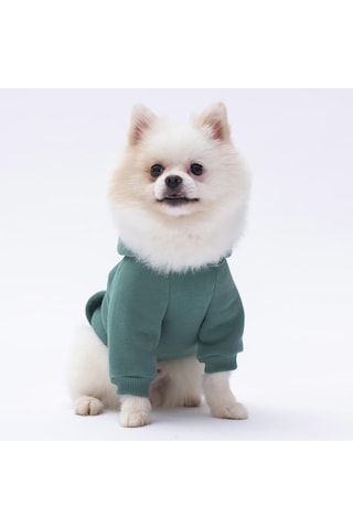 Pettrend Çağla Yeşil Kanguru Cepli Kedi Köpek Hoodie Sweatshirt