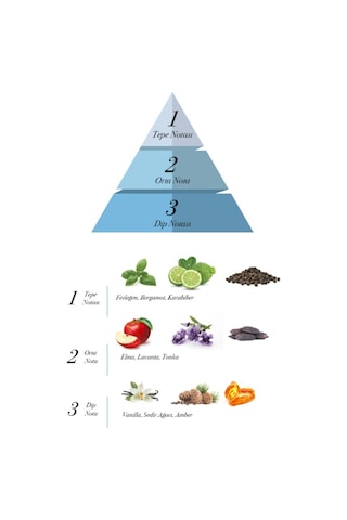 Prova Army 100 ML + Cool Blue Erkek Parfüm Seti EDP 120 ML