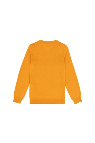 U.s. Polo Assn. Erkek Çocuk Hardal Kazak /triko 50294200-vr072 Hardal