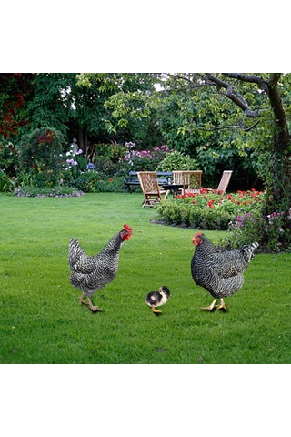 Suntek 3 Tavuk Heykeli Avlu Çim Yard Dekorasyon Için