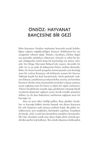 Mikrobiyota İçindeki Mikroplar: Sağlık Üzerine Bilimsel Bakış