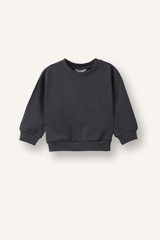 Defacto %100 Pamuk Regular Fıt Bisiklet Yaka Basic 2li Sweatshirt Set Erkek Bebek H8400a526auar31 Antrasit-ar31