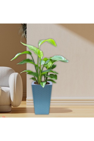 Suntek Magideal Bitki Saksısı Kendiliğinden Sulanan Antik Gümüş