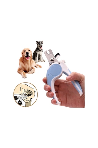 Weather Forecast Çelik Uçlu Mavi Kedi Köpek Büyük Tırnak Makası