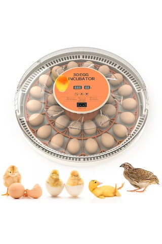 Altın Kuluçka-wonegg 30'lu Otomatik Kuluçka Makinesi