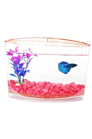 Bölmeli Izgaralı Betta Beta Kabı Tankı Akvaryum 1800 Ml - 19x8x13 Cm Yeşil