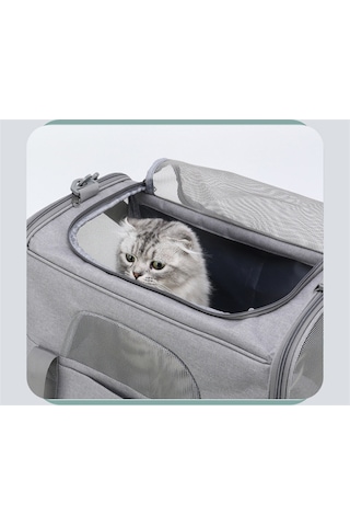 Kedi Çantası Katlanabilir Küçük Köpek Ve Kedi Gezi Çantası