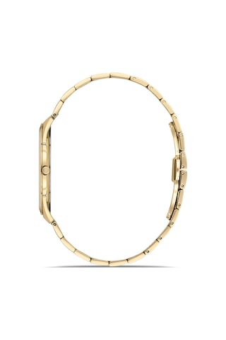 Hislon Men's Classic Cl216g-02sg Gold