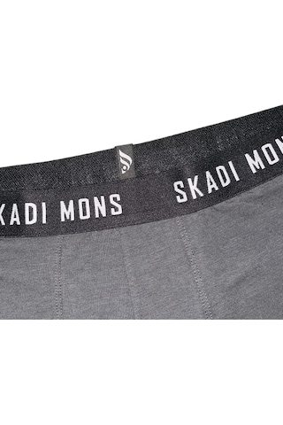 Skadi Mons Basic Erkek Gri Iç Çamaşır 3605020123-003