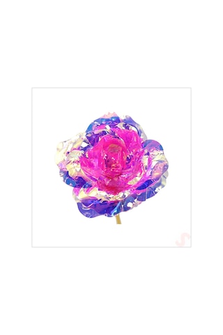Sonsuzluk Gülü, 25 Cm X 8cm - Pembe