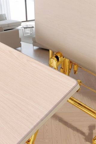 Eranş Serisi 4'lü Katlanır Mdf Mebran Ahşap Çanta Zigon Sehpa Gold Ayak Açık Ahşap Desen Gold Ayak