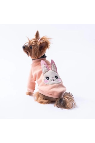 Pawstar Pembe Dublin Hopper Polarlı Küçük Irk Köpek Sweatshirtü