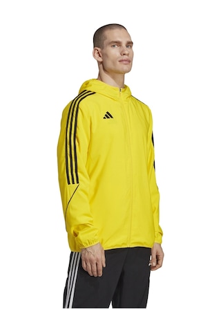 Adidas Tiro23 L Wb Erkek Futbol Antrenman Ceketi IA1617 Sarı