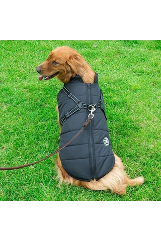 Reedark Kışın Köpeğinizi Sıcak Tutacak Reflektif Yelek: 4xl Boyut, Siyah, Çekme İpi Dahil Değil