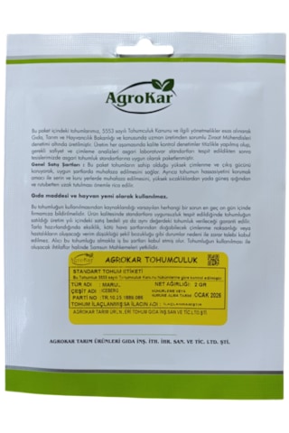 Iceberg Marul Tohumu 2 Gr 1 Paket