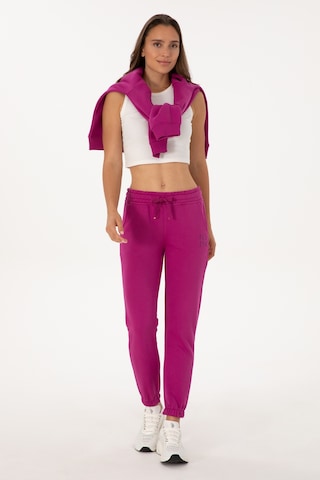 U.S. Polo Assn. Kadın Fuşya Jogger Eşofman Altı 50313591-VR023