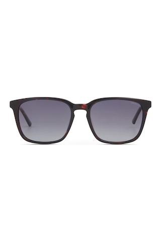Despada Ds2440 C2 54 Polarize Güneş Gözlüğü Kahverengi